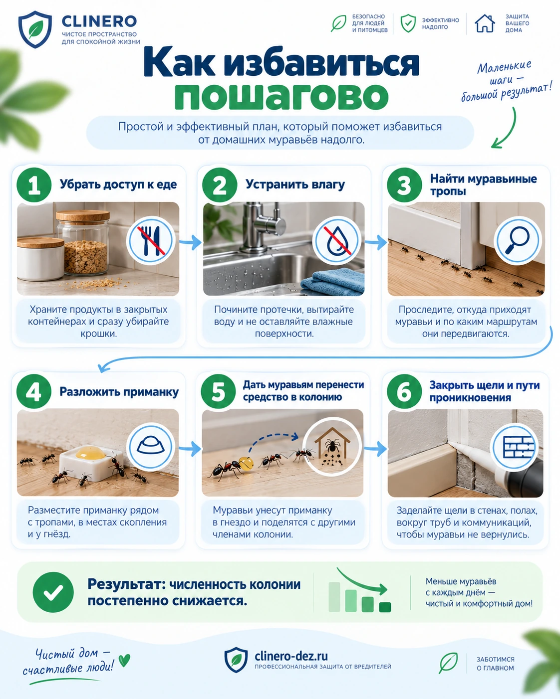 Пошаговый план избавления от домашних муравьев