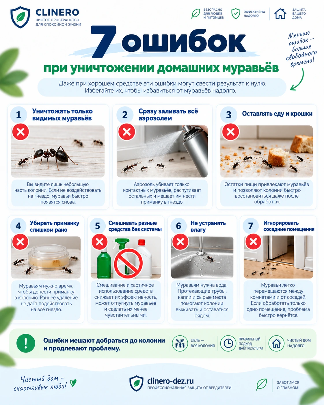 Семь ошибок при уничтожении домашних муравьев