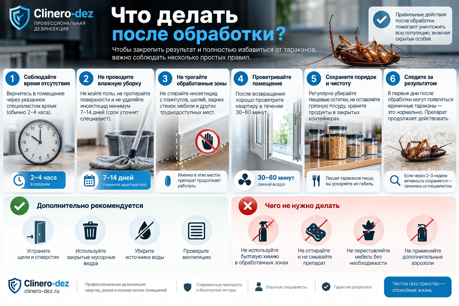 Инфографика с рекомендациями после обработки от тараканов