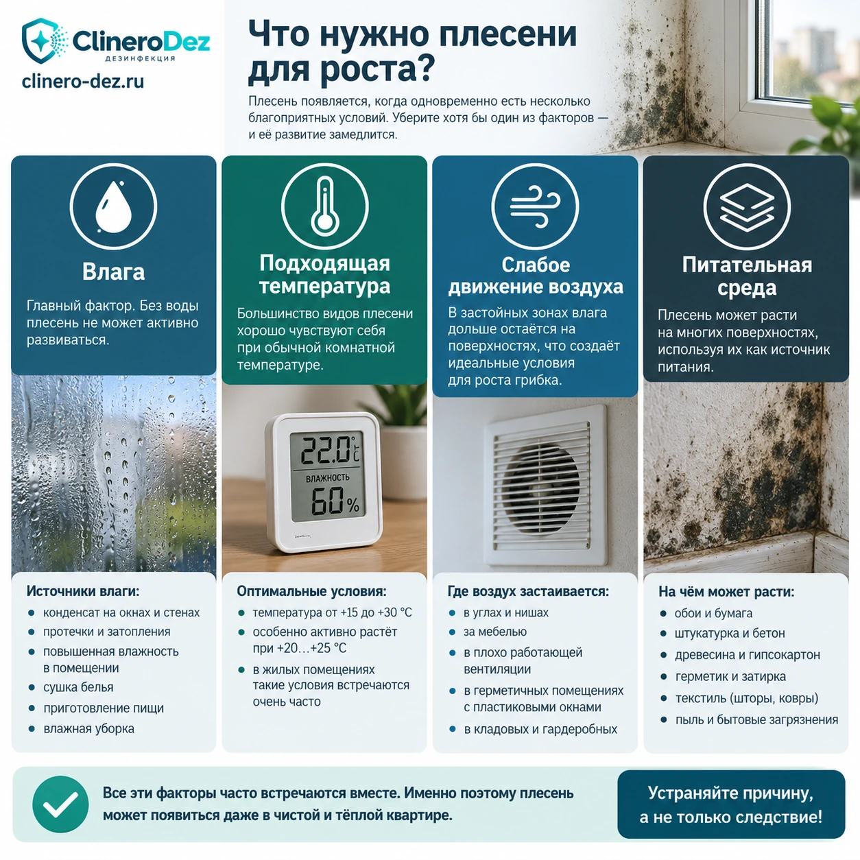 Четыре условия, необходимые плесени для роста: влага, температура, слабое движение воздуха и питательная среда