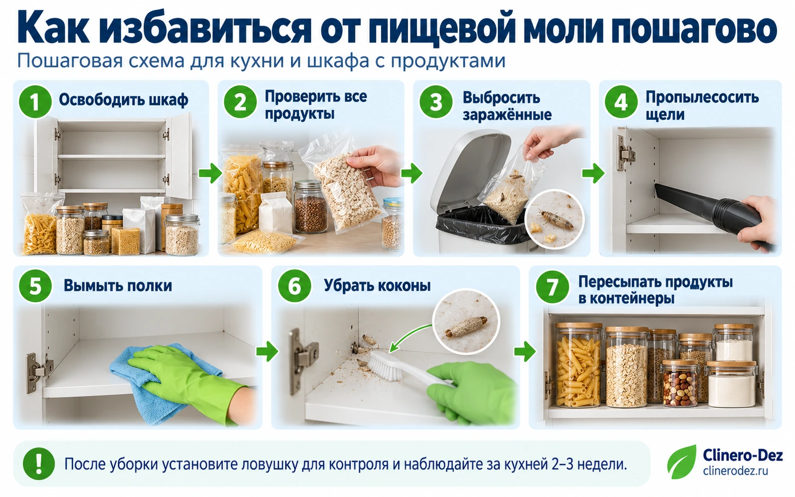 Пошаговая схема избавления от пищевой моли