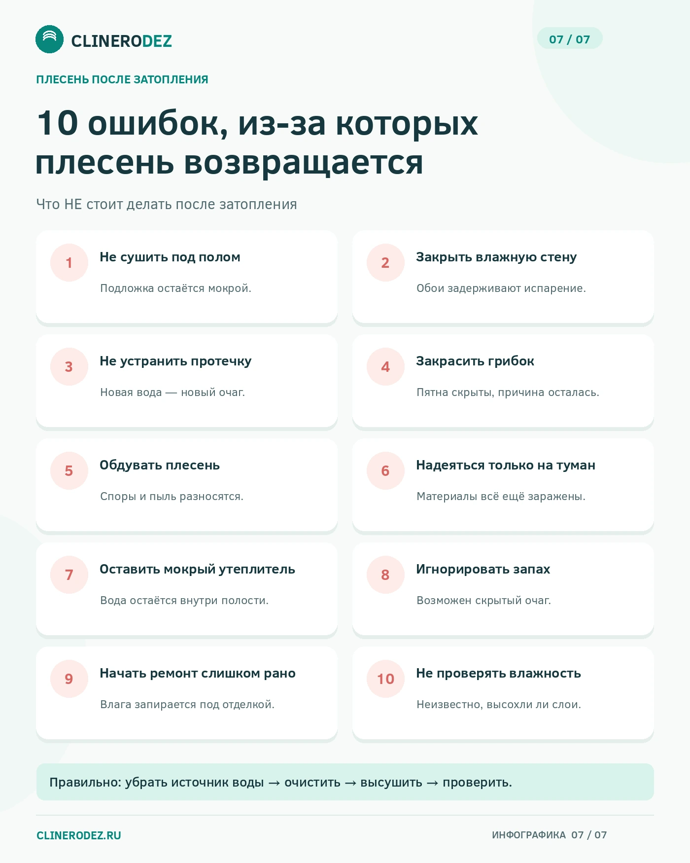 Десять ошибок после затопления, из-за которых плесень возвращается