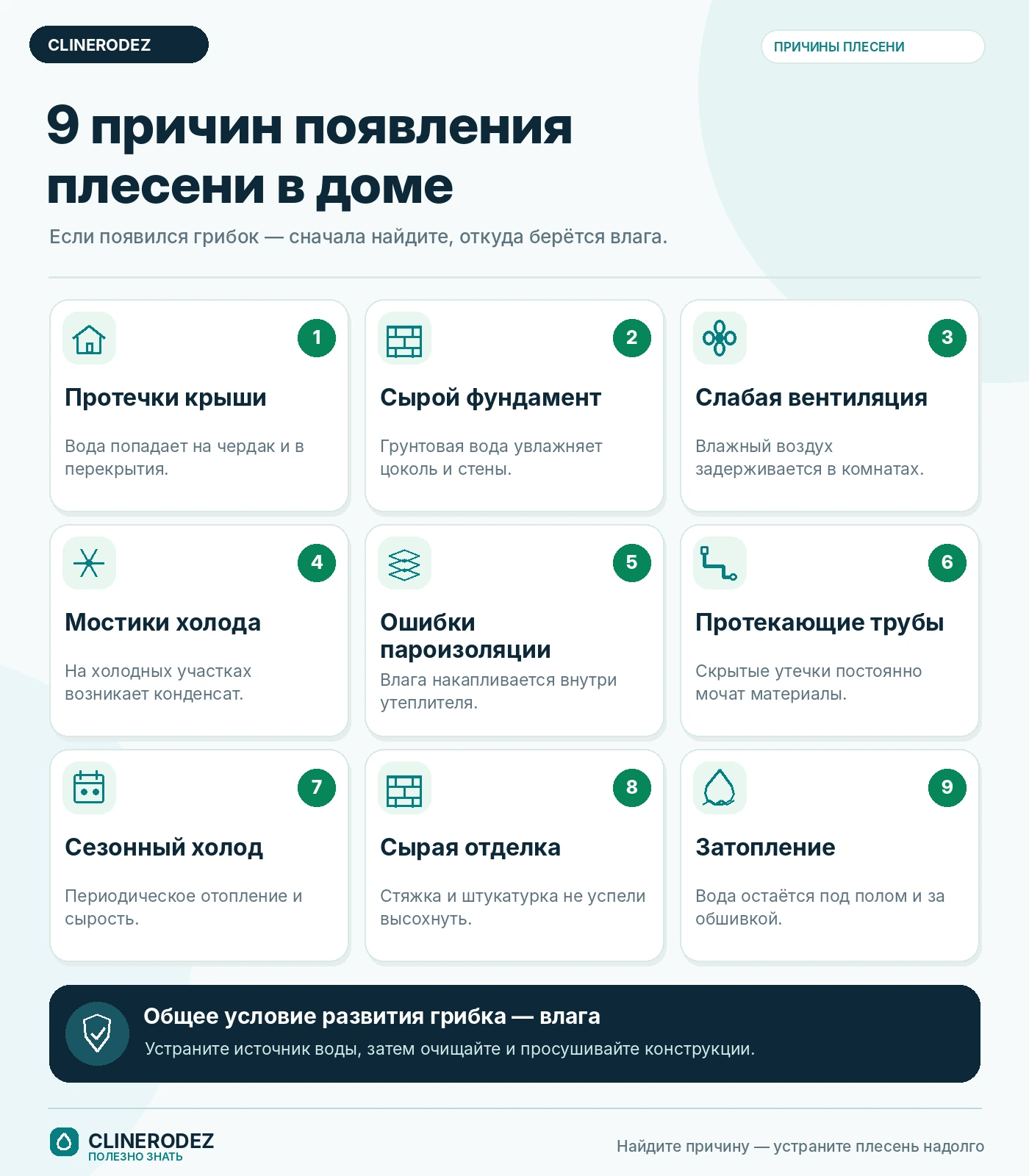 Девять причин появления плесени в доме