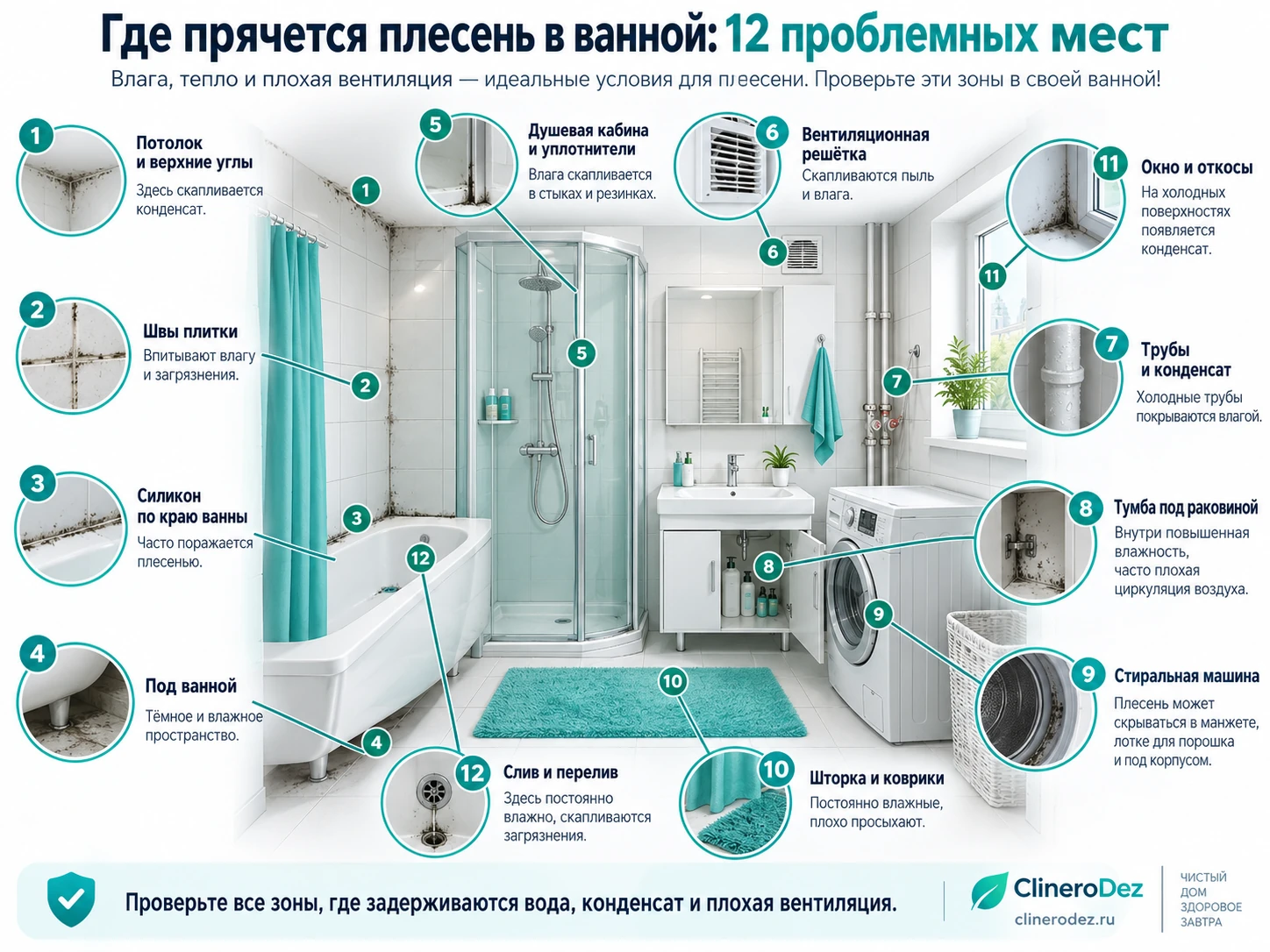 Где прячется плесень в ванной