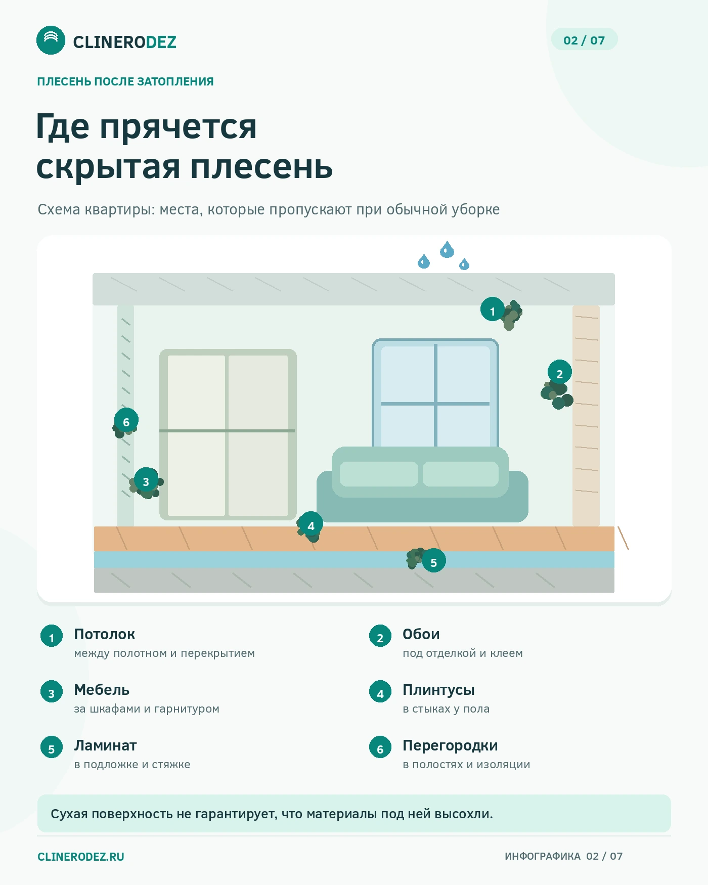 Где прячется скрытая плесень после затопления