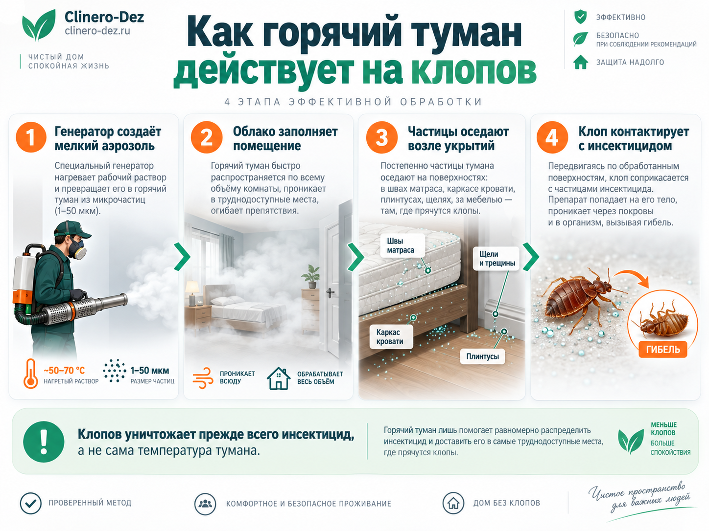 Инфографика о том, как горячий туман действует на клопов