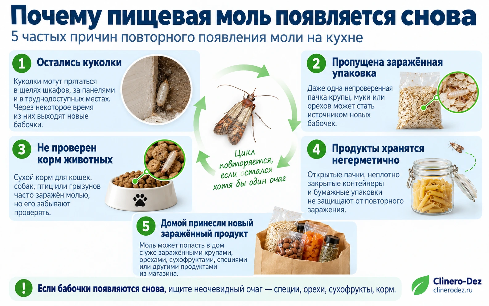 Почему пищевая моль появляется снова