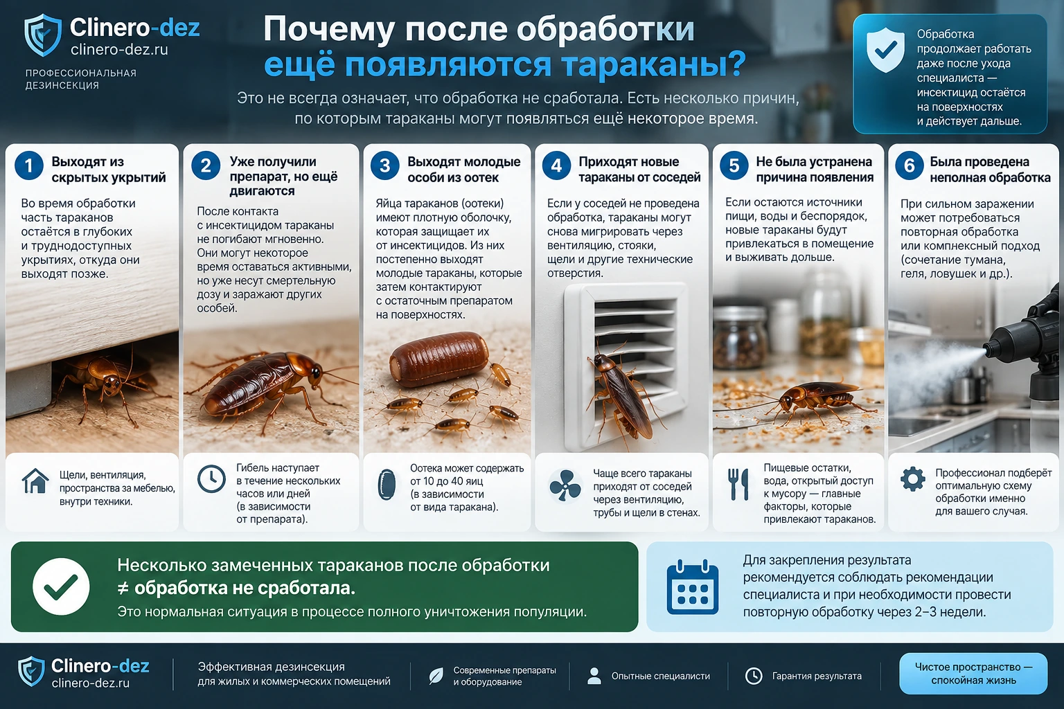 Инфографика о причинах появления тараканов после обработки