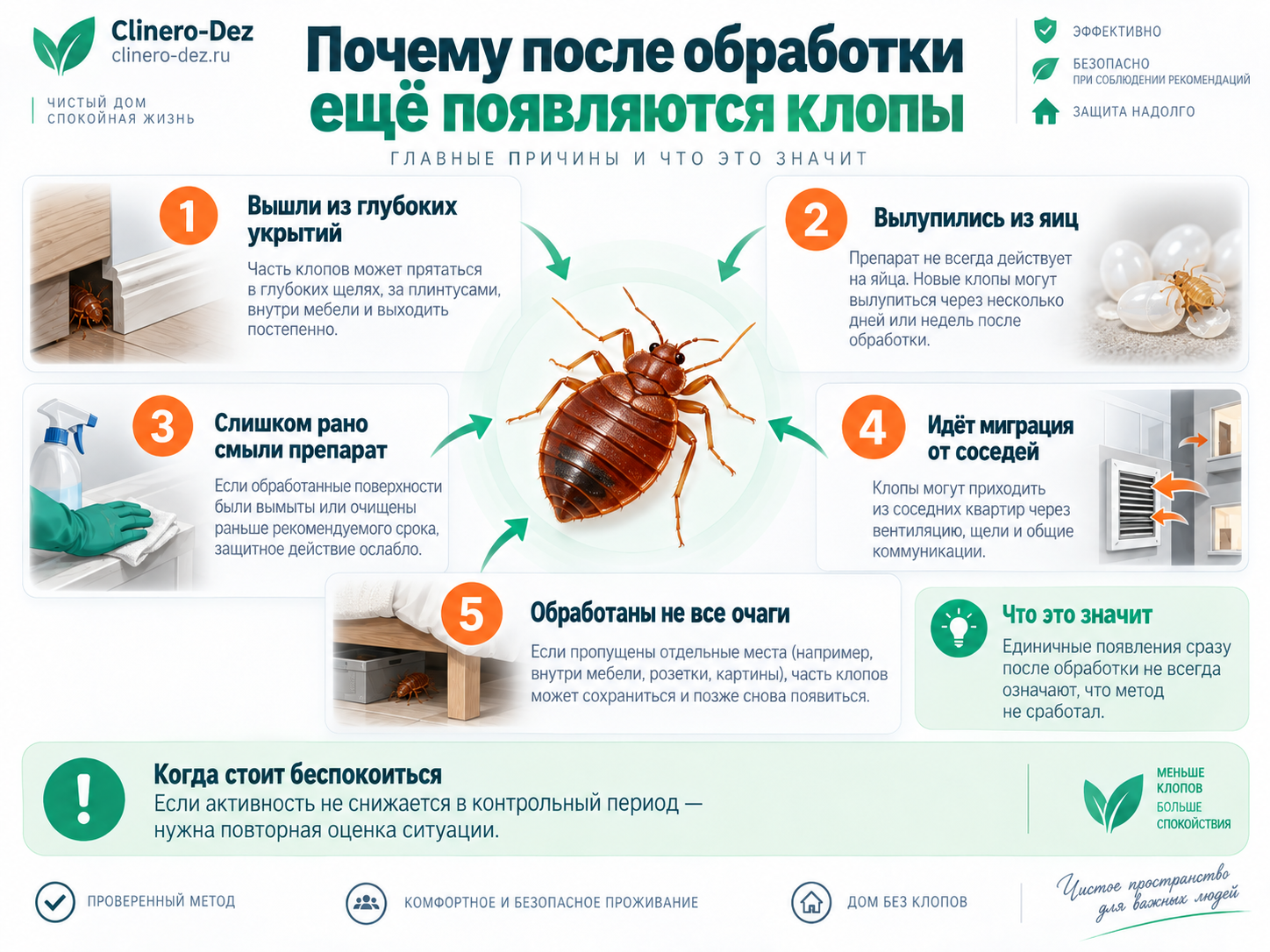 Инфографика о причинах появления клопов после обработки