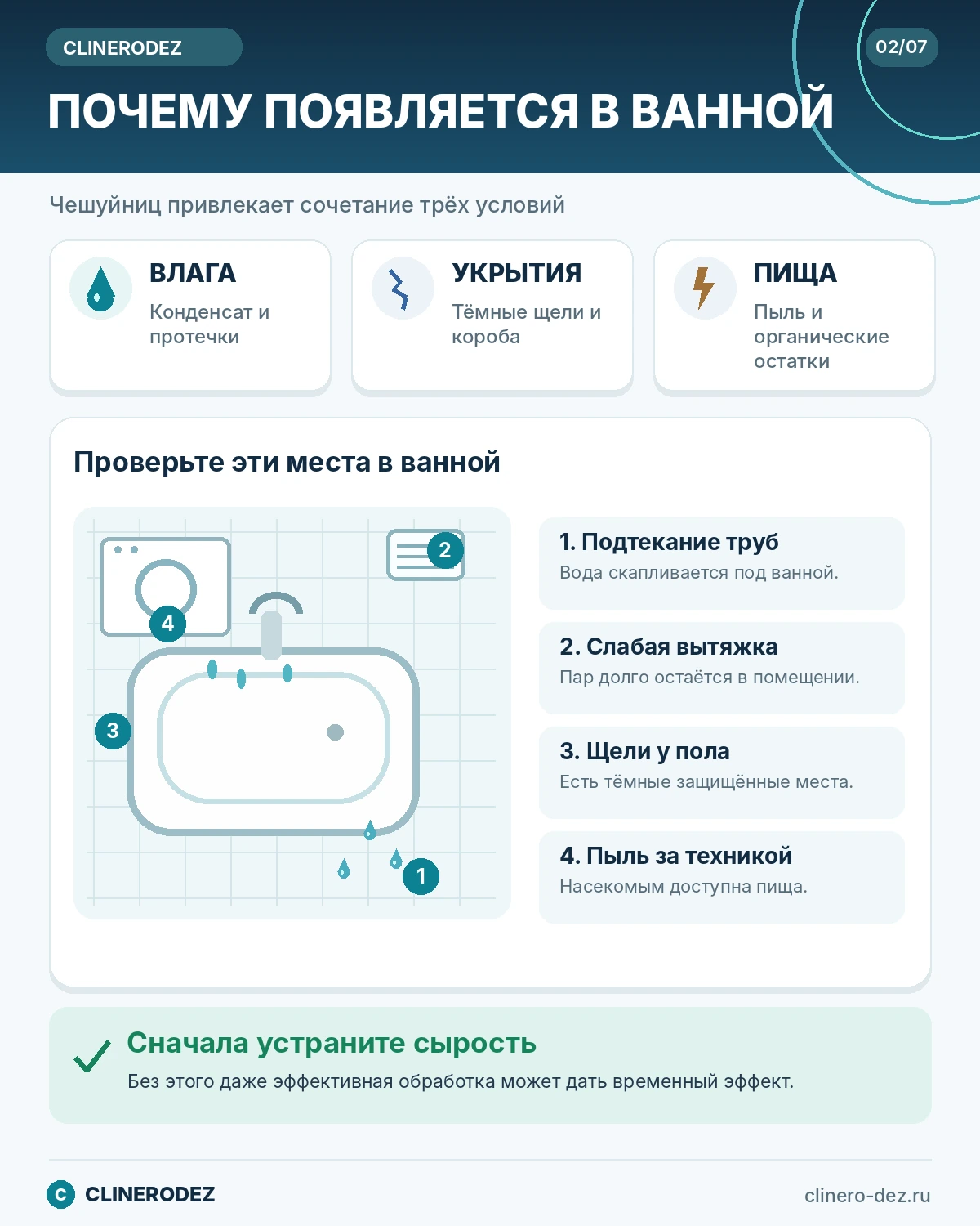 Почему чешуйница появляется в ванной