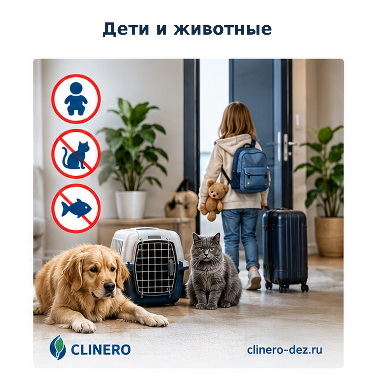 Дети и домашние животные перед обработкой квартиры