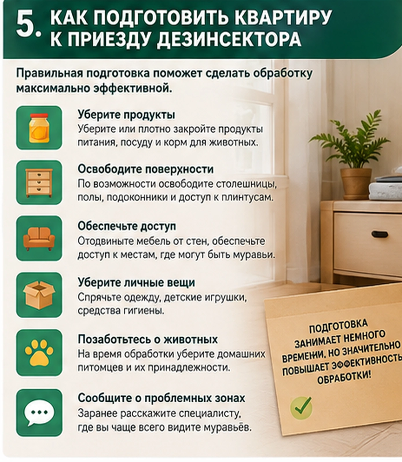 Как подготовить квартиру к обработке от муравьев