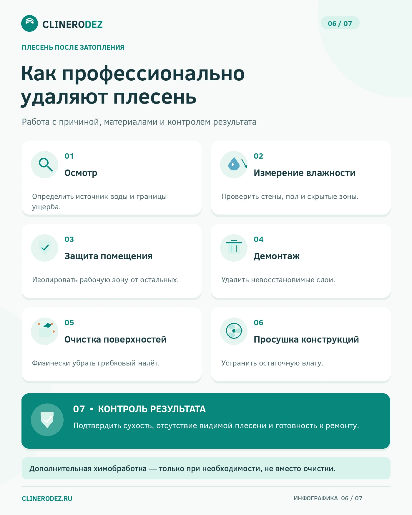 Как профессионально удаляют плесень после затопления