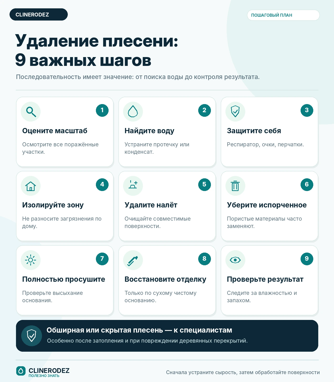 Удаление плесени в частном доме за девять шагов